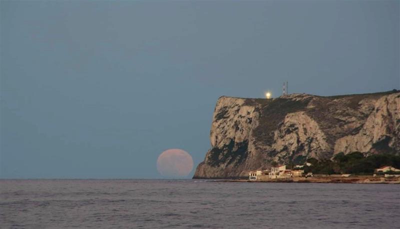 Denia Vollmond